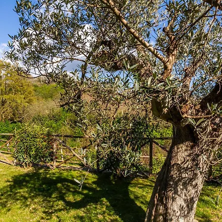 With A View In Scansano, Tuscany Scansano