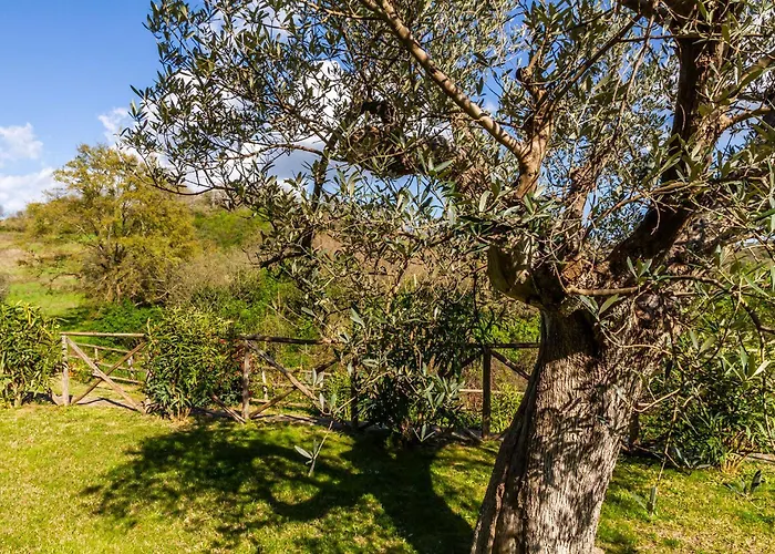 With A View In Scansano, Tuscany Scansano